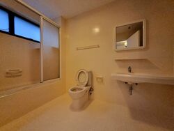 The Cairnhill (D9), Condominium #555762571